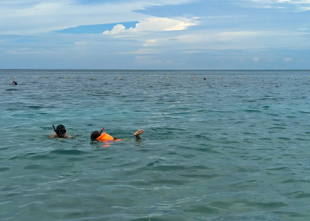 Snorkeling Image